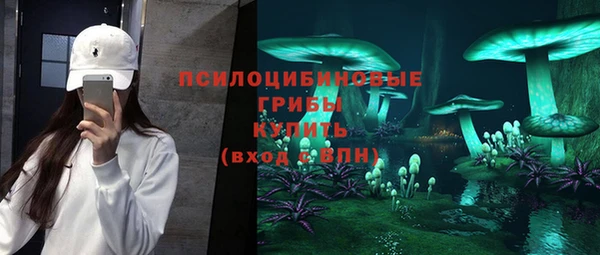 прущие крисы Алексин