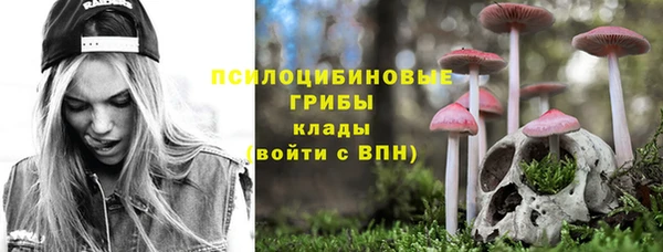 прущие крисы Алексин