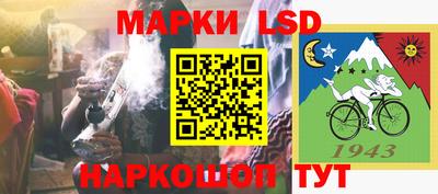 прущие грибы Камышлов