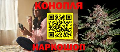 крисы Канаш