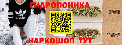 крисы Канаш