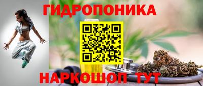 крисы Канаш