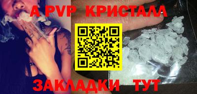 прущие грибы Камышлов