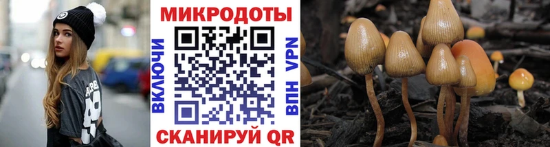 Галлюциногенные грибы прущие грибы  Кинель 