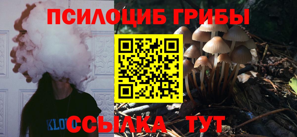 Псилоцибиновые грибы Magic Shrooms Кинель